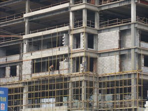 九宮格專注中小企業(yè)網(wǎng)絡(luò)營(yíng)銷(xiāo) 助力高新區(qū)成城建材公司開(kāi)拓互聯(lián)網(wǎng)藍(lán)海